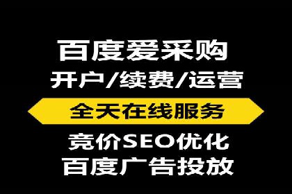 某公司通过百度竞价实现业务快速增长的案例